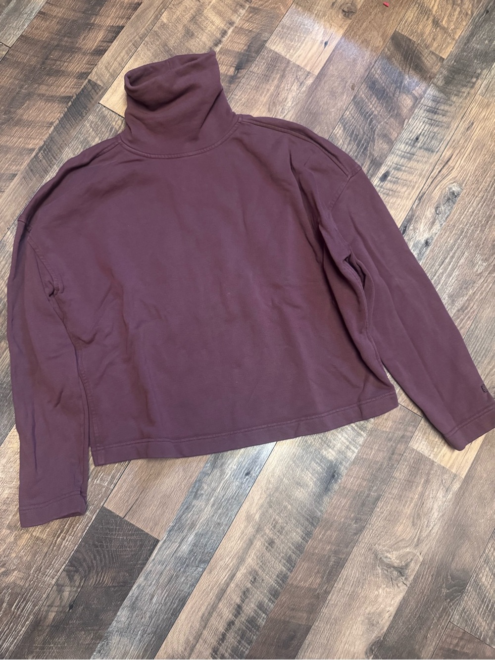 Everlane Organic Cotton Burgundy Turtleneck Sweatshirt